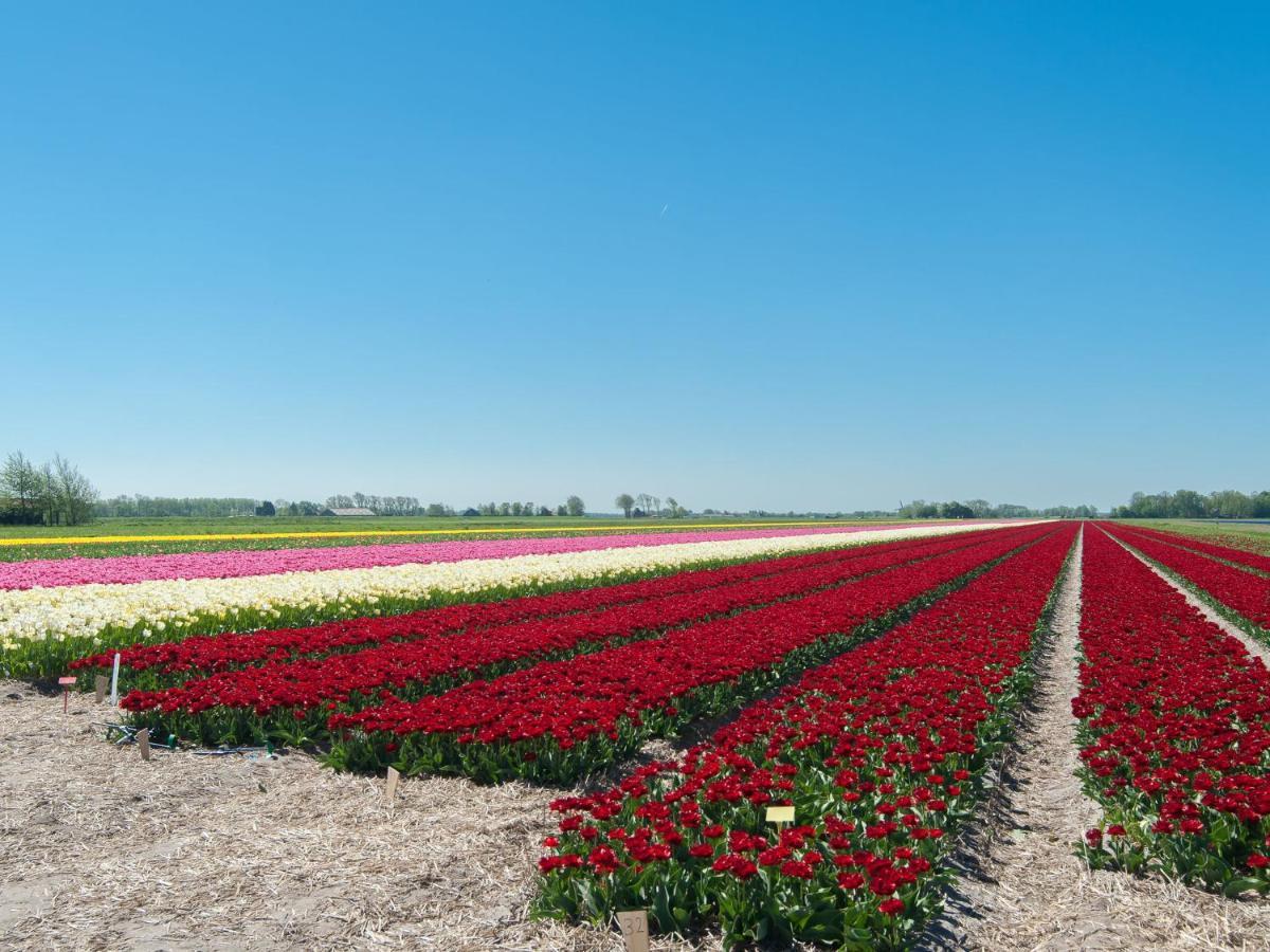 Attractive Countryside Holiday Home In Quiet สโคร์ล ภายนอก รูปภาพ